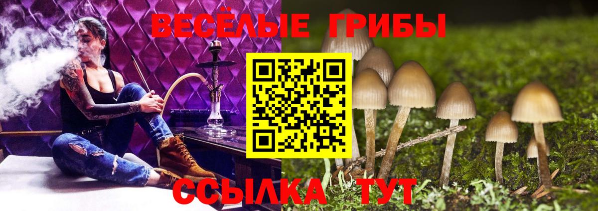 Галлюциногенные грибы GOLDEN TEACHER Борисоглебск